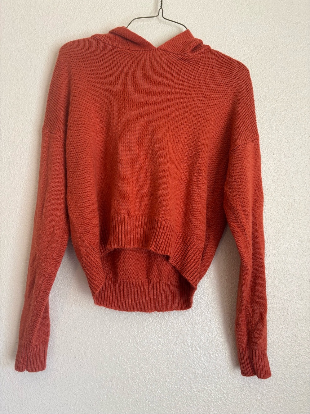 Women's Rust Cropped Hooded Turtleneck Sweater
